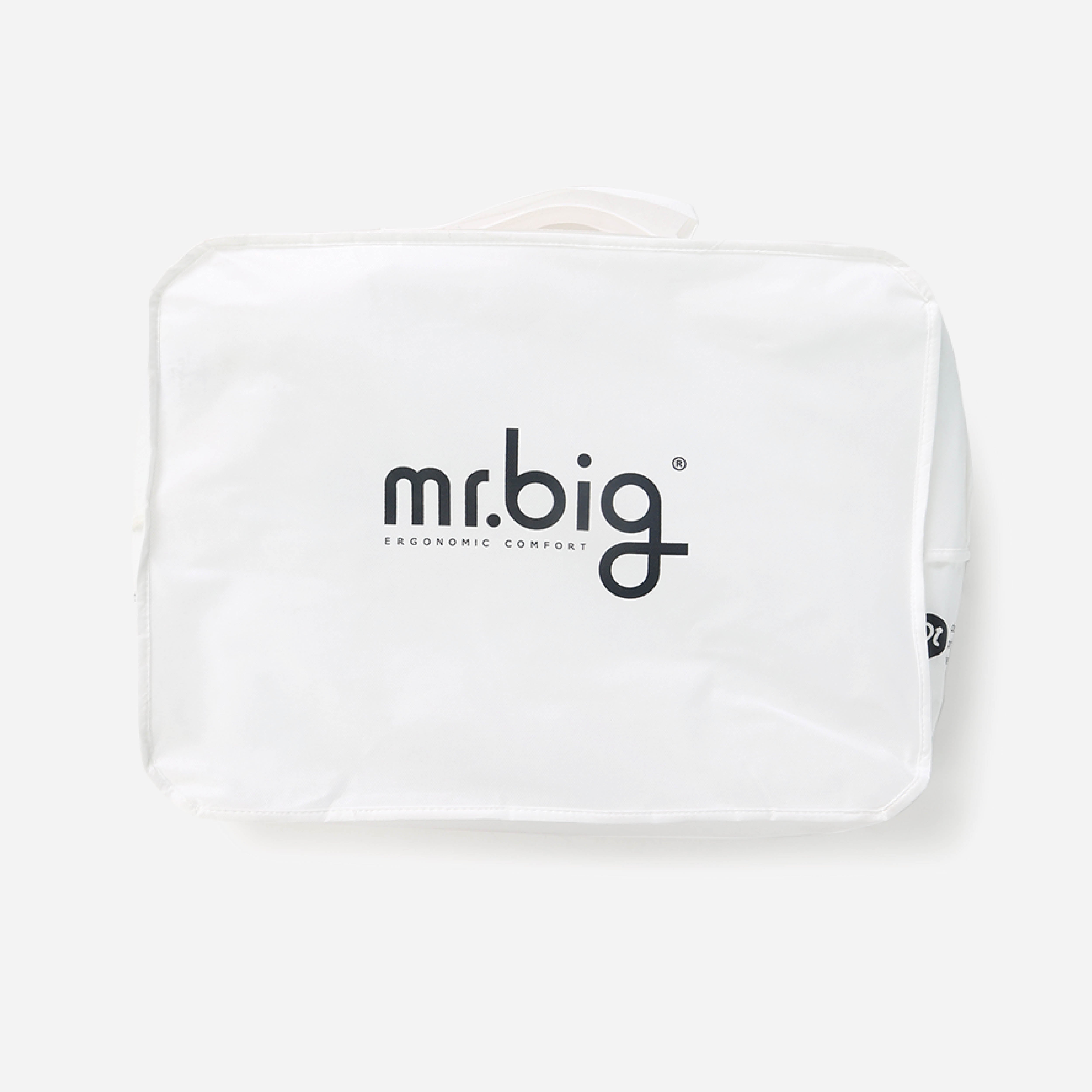 Mr. Big Body Scale Pillow #2 - White