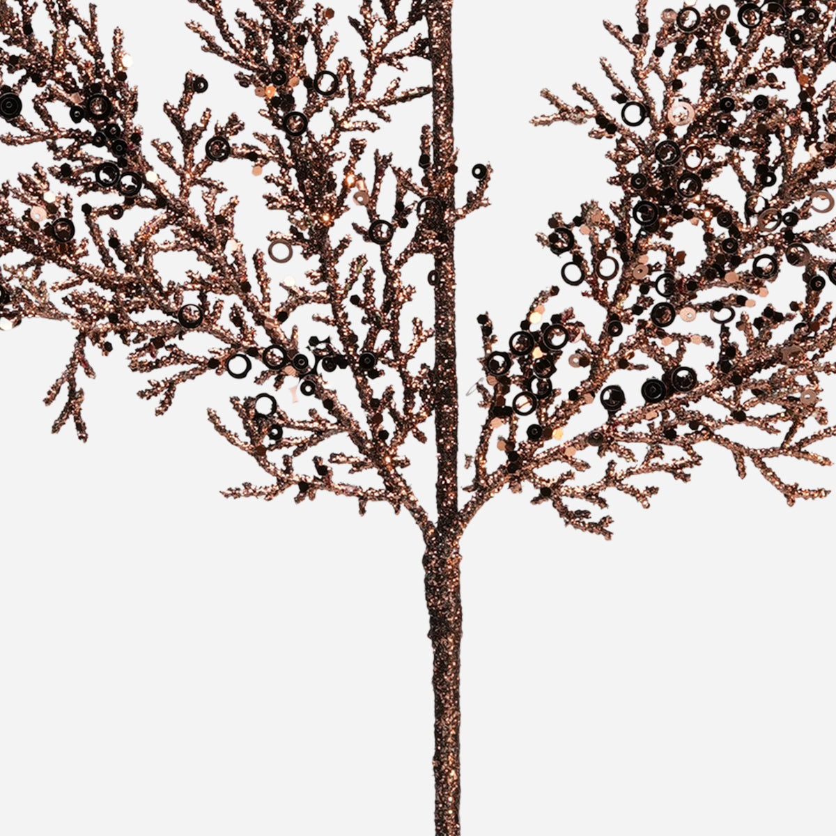 HWP-39270731:39270731_-_4.jpg