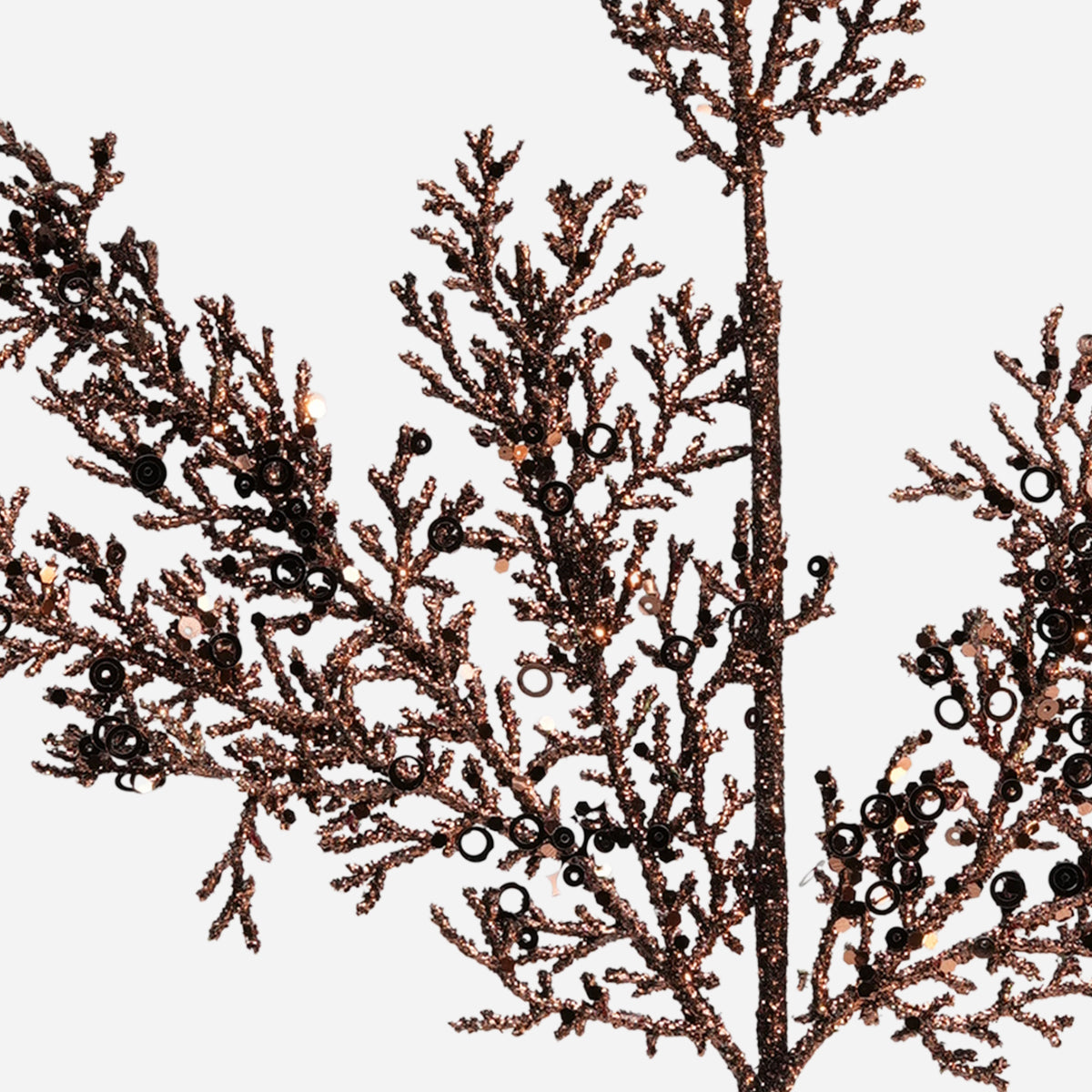 HWP-39270731:39270731_-_5.jpg