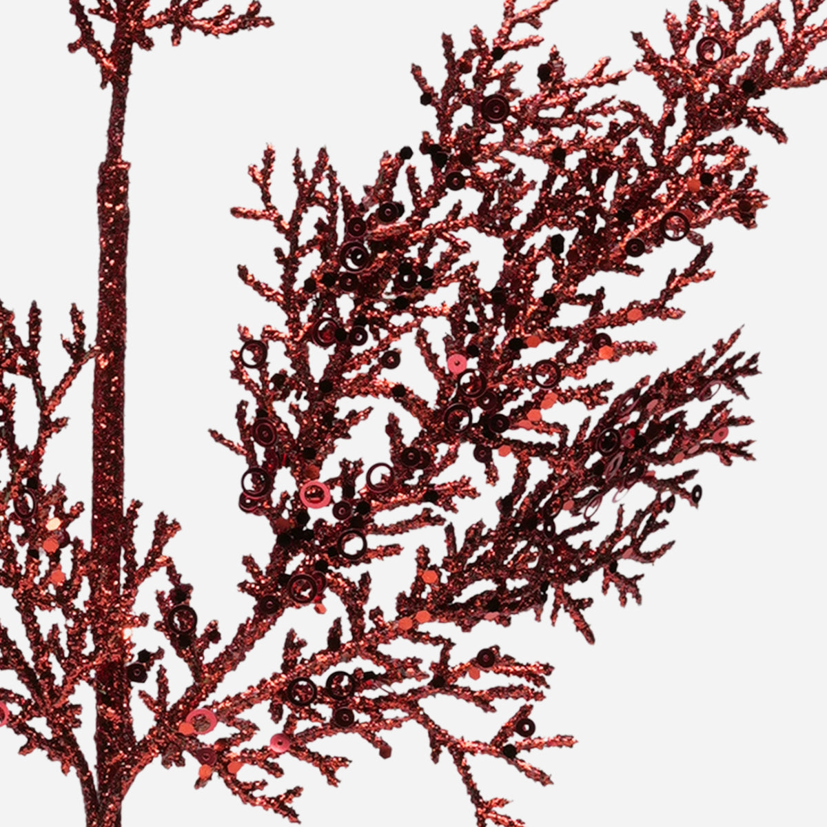 HWP-39270739:39270739_-_5.jpg