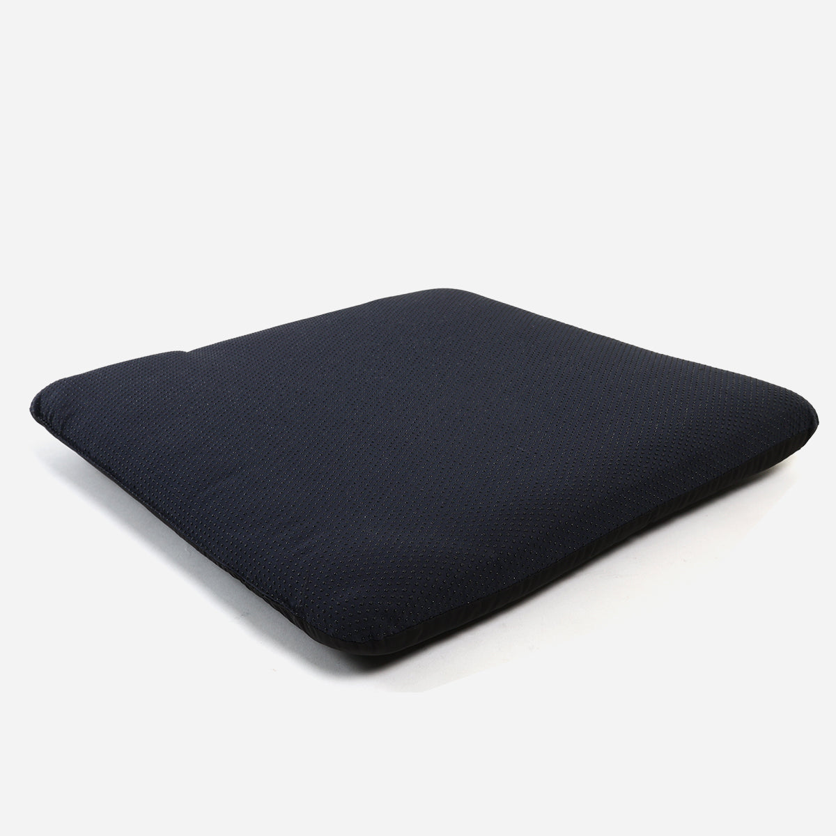 Hosh Chair Cushion with Dot Drop (Black) - 16x16x1in