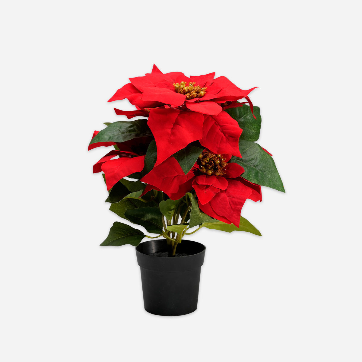 HWP-10439394:Christmas_flower_with_plastic_pot_36cm-1.jpg