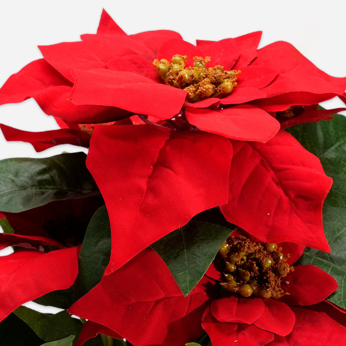 HWP-10439394:Christmas_flower_with_plastic_pot_36cm-2.jpg