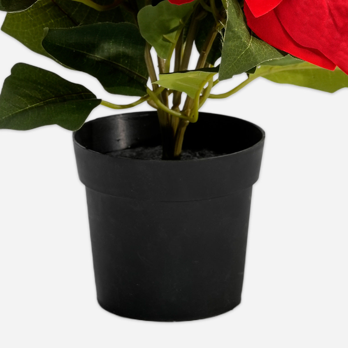HWP-10439394:Christmas_flower_with_plastic_pot_36cm-3.jpg