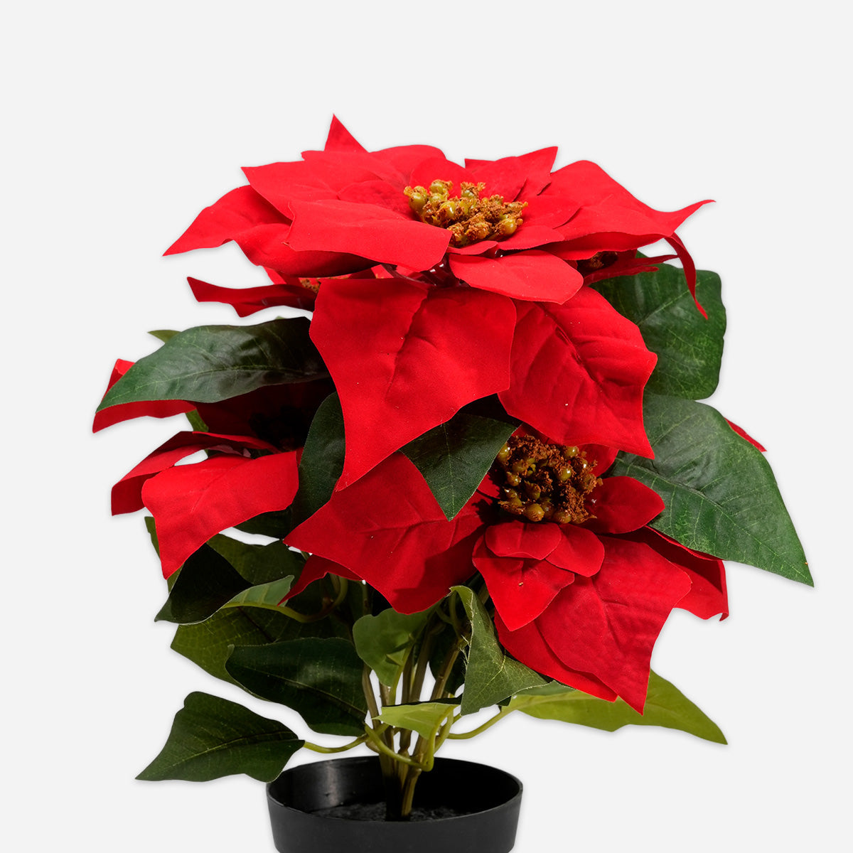 HWP-10439394:Christmas_flower_with_plastic_pot_36cm-4.jpg