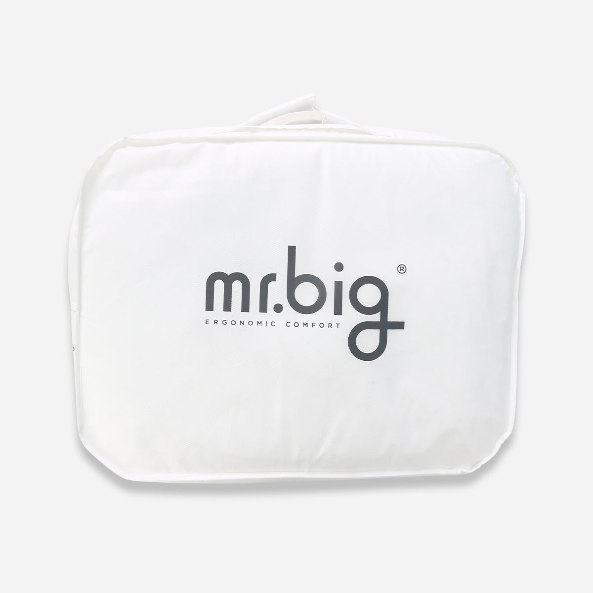 HWP-39168753:MR_BIG_SEVEN_PILLOW_W_COTTON_COVER_-_39168753_-_5.jpg