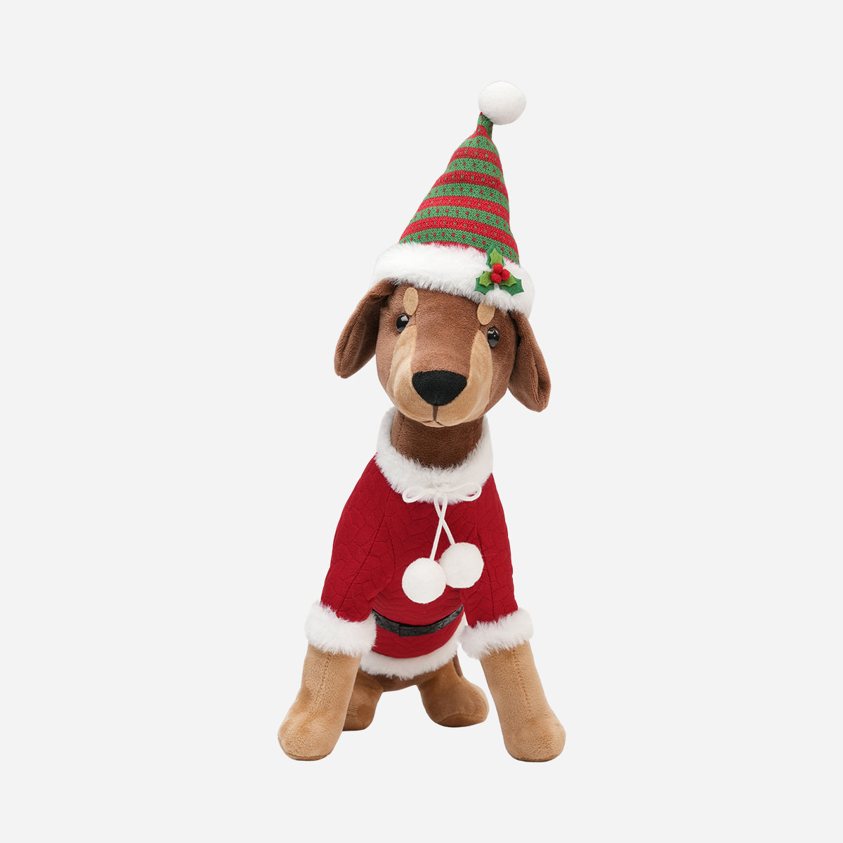 HWP-10439588:SITTING_DOG_RED_GREEN_HAT_-_1.jpg