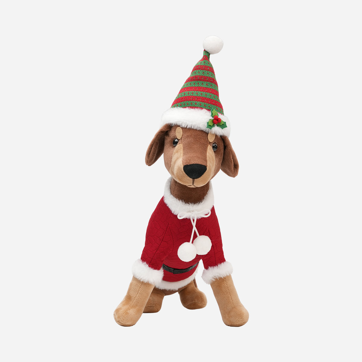 HWP-10439588:SITTING_DOG_RED_GREEN_HAT_-_2.jpg