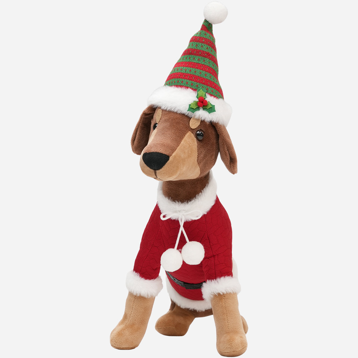 HWP-10439588:SITTING_DOG_RED_GREEN_HAT_-_3.jpg