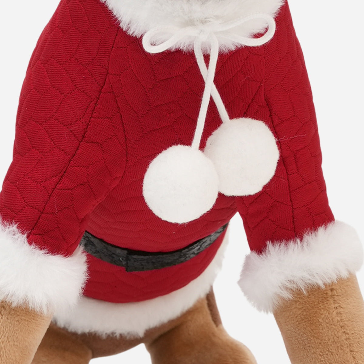 HWP-10439588:SITTING_DOG_RED_GREEN_HAT_-_5.jpg